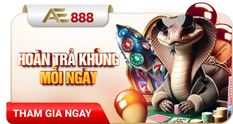 Chương trình hoàn trả cược thua liên tục